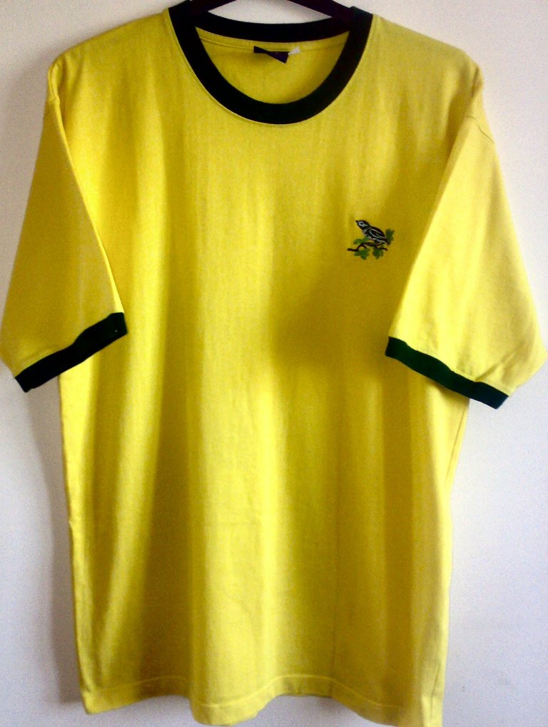 maillot équipe de west brom réplique 1970 rétro